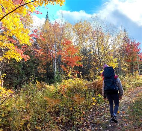 Best fall ever? Maybe! Here's why Quebec's leaves are bursting with ...