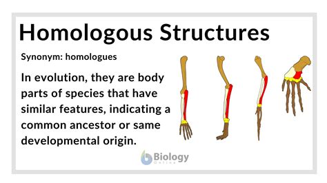 Species Examples Biology