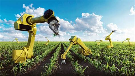 Farmer-Robots May Ease The Labor Crunch In Agriculture