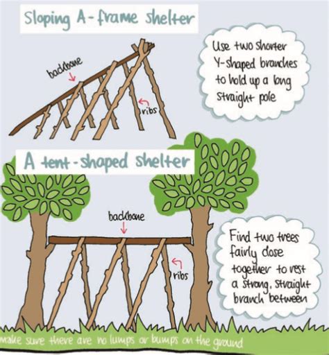 Bushcraft Shelter Types