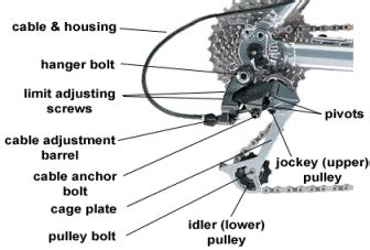 Derailleur Adjustment - Your 7 step guide to getting your bike to shift ...