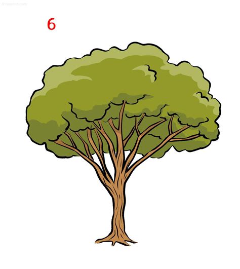 Easy Tree Drawing » How to draw a Tree