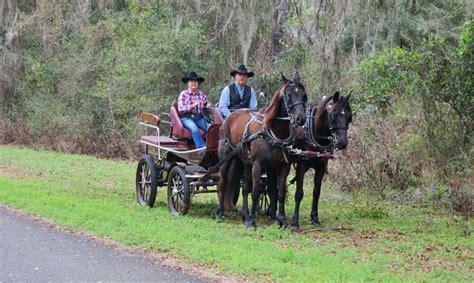 Withlacoochee State Trail might be Florida's most scenic