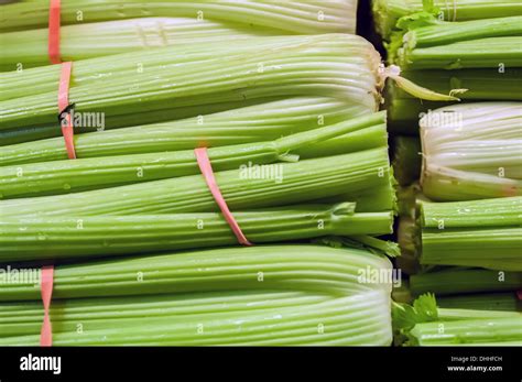 Stalks of celery hi-res stock photography and images - Alamy