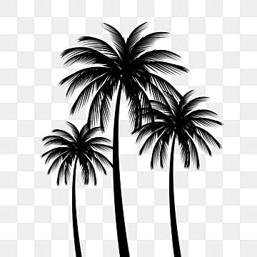 Palm Tree Silhouette Clipart No Background