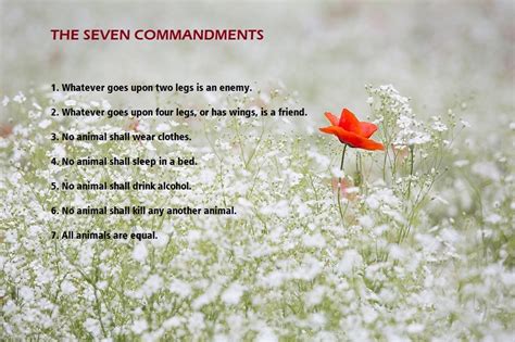 😀 What are the 7 commandments in animal farm. The Seven Commandments ...