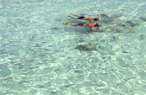 snorkeling Travel Safety, Safe Travel, Snorkeling, Mexico, Trip, Playa ...