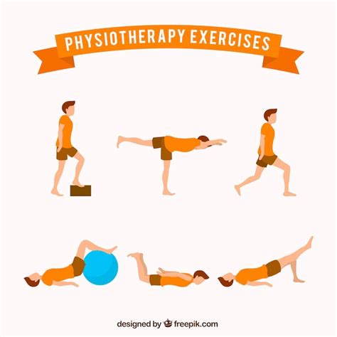 Free Vector | Collection of rehabilitation exercises