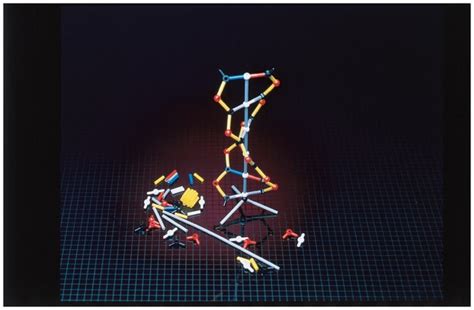 American Educational Products DNA Student Model Kit DNA Molecular Model ...