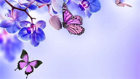 Butterfly Wallpaper for mobile phone, tablet, desktop computer and ...