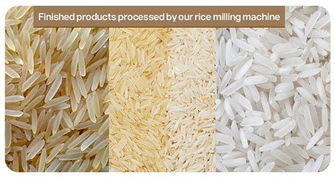 Complete 300T/D Rice Mill Equipments | Rice Process Plant Manufacturer