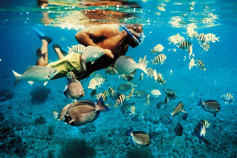 Snorkeling - Adventure Sports Aruba