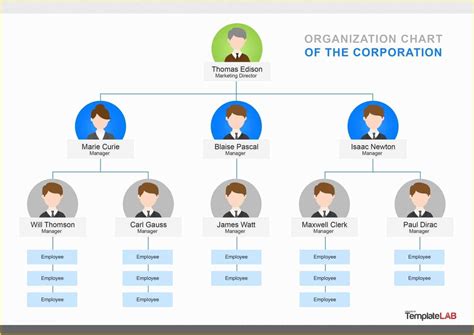 Free organizational Chart Template Of 40 organizational Chart Templates ...