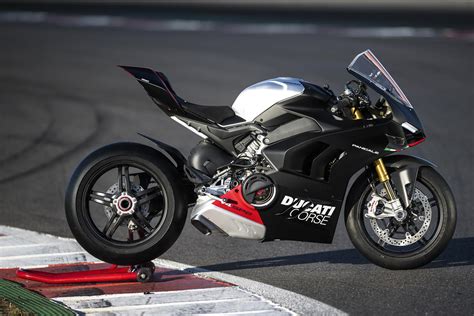 Consejo rizo Línea de visión ducati ducati panigale Durante ~ barba ...