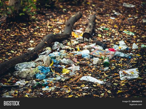 Garbage Pile Autumn Image & Photo (Free Trial) | Bigstock