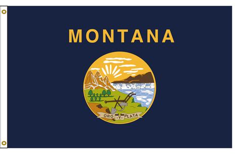 Montana 8ftx12ft Nylon State Flag 8x12 Made in USA 8'x12'