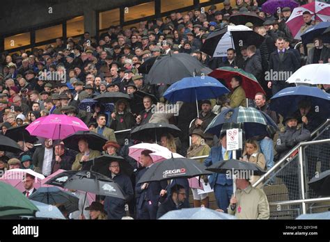 Crowds watching the first race Day 2, racing at the Cheltenham Gold Cup ...