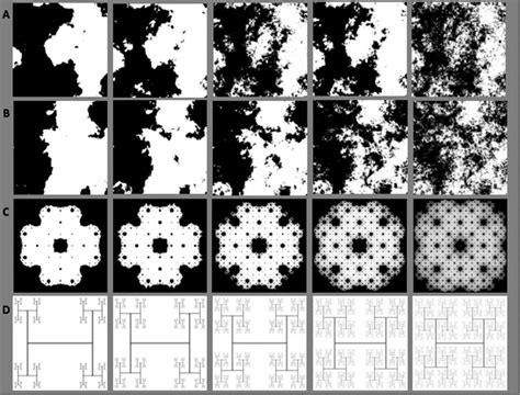 Fractal patterns preferred by children under three years - Geometry Matters