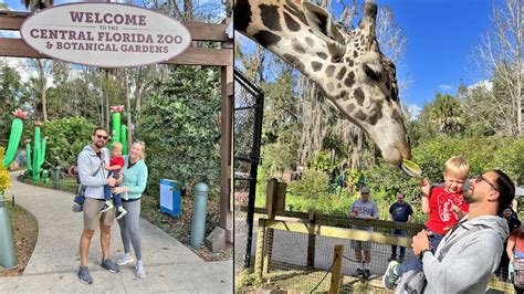 A Wild Day At The Central Florida Zoo In Sanford! | Feeding A Giraffe ...