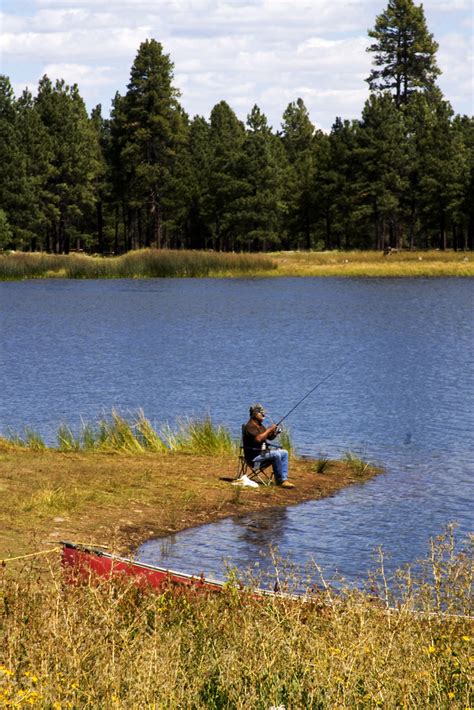 Kaibab National Forest - Fishing