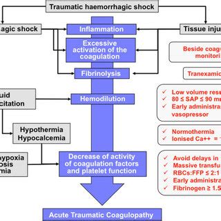 (PDF) Resuscitative strategies in traumatic hemorrhagic shock