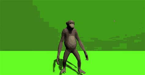 Monke Meme Gifs