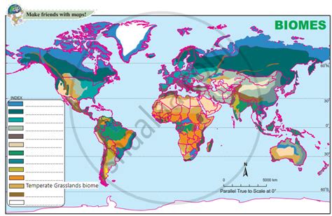 Grasslands Biome Map