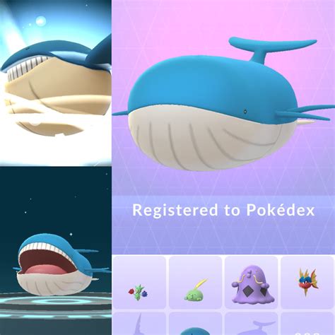 Wailmer Evolution Chart Pokemon Wailmer Free Transparent, 43% OFF