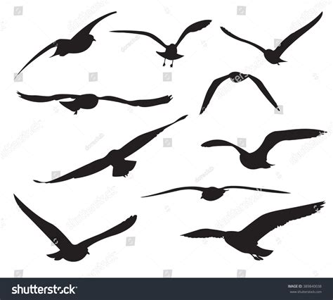 28,201 White Seagull Silhouette Images, Stock Photos & Vectors ...