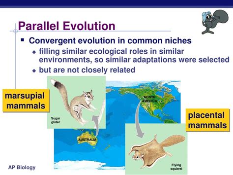 PPT - Evidence of Evolution by Natural Selection PowerPoint ...