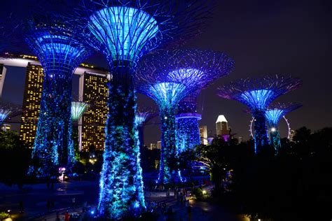 Illuminated Supertrees at Night (4) | Marina Bay | Pictures | Singapore ...