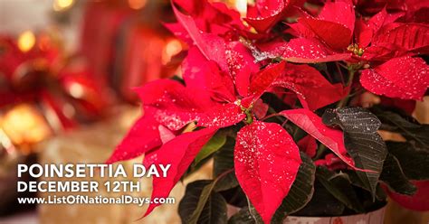 Poinsettia Day - List of National Days