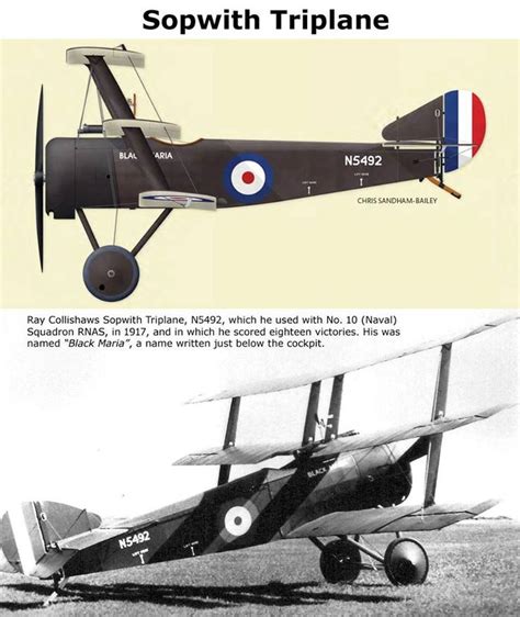 Sopwith Triplane | Fighter aircraft design, Ww1 aircraft, Ww1 airplanes