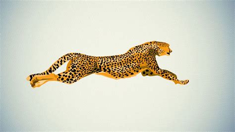 Download Cheetah Wallpaper