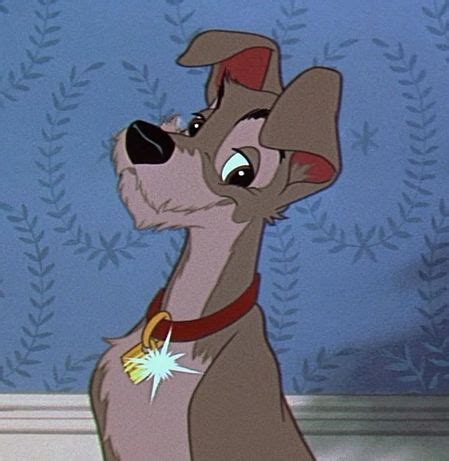 How Well Do You Know The Lady And The Tramp Characters? | Playbuzz