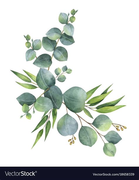 Watercolor vector wreath with green eucalyptus leaves and branches ...