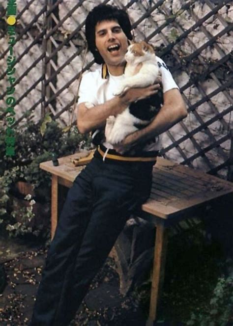 20 Vintage Photos Of Freddie Mercury And His Cats That Show His Love ...