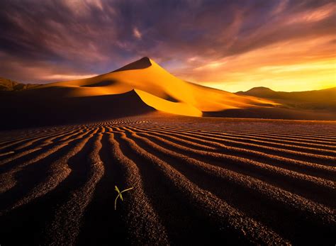 desert, Landscape, Dune Wallpapers HD / Desktop and Mobile Backgrounds