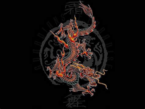 Chinese Dragon Wallpaper - WallpaperSafari