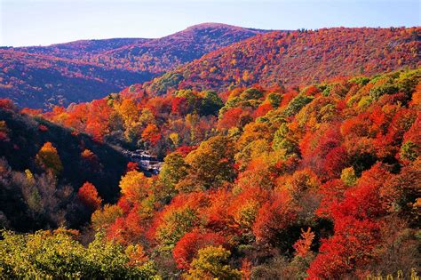 Fall Mountain in Appalachia – Deborah Kristina – Medium