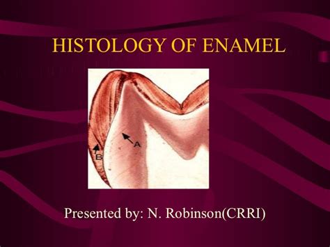 Histology of Enamel