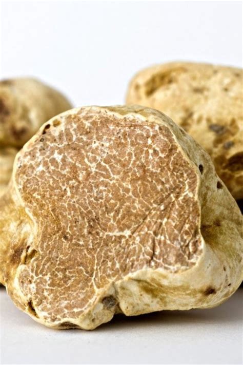 White Truffle: The Ultimate Mushroom Guide