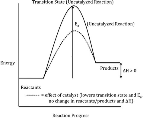 Exothermic Reaction With Catalyst