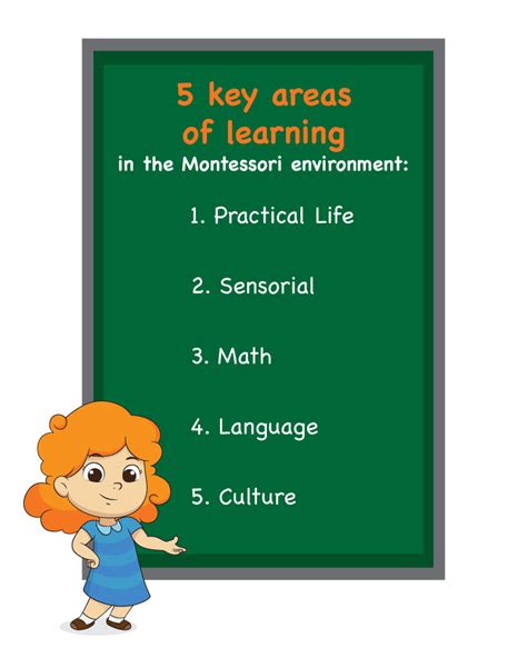 5 Areas Montessori Curriculum | North American Montessori