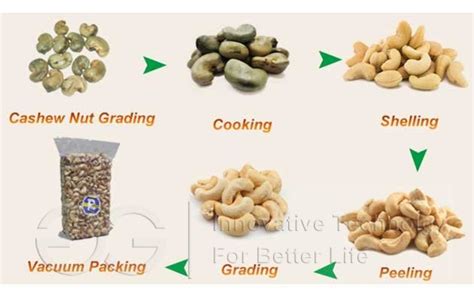 Cashew Nut Processing Line|Kaju Processing Machine(100,500,1000kg per hour)