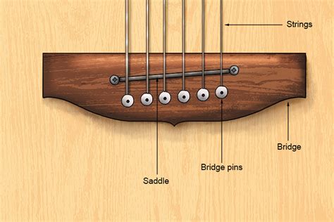 The bridge and saddle – Mammoth Music