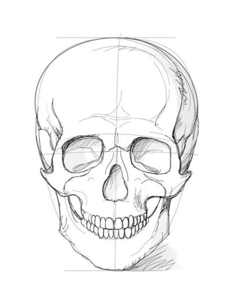 How to draw a skull with a pencil step-by-step drawing tutorial