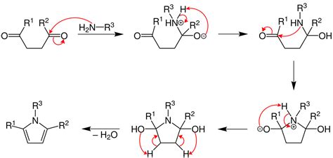 File:Paal-Knorr-pyrrole-synthesis mechanism.svg - Wikimedia Commons