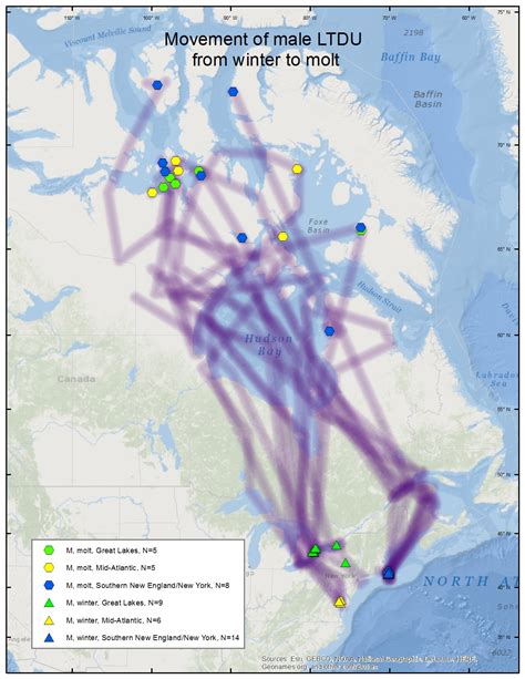 Long-tailed Duck migration maps - Sea Duck Joint Venture