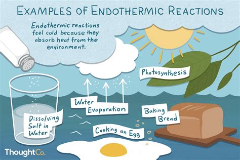 Endothermic And Exothermic Reaction Examples